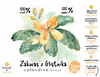 AleBrowar Zakwas z Glistnika Jaskółcze Ziele (wg Bołotowa) Bio 750ml