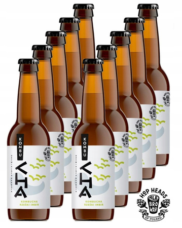 AleBrowar KombuCHA Rześki Imbir 10x 330ml