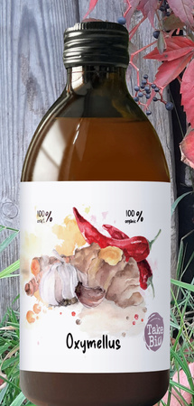 AleBrowar Oxymellus Oxymel Bio 300ml