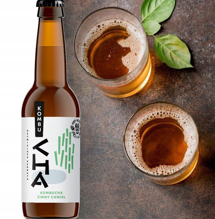 AleBrowar KombuCHA Zimny Chmiel 10x 330 ml
